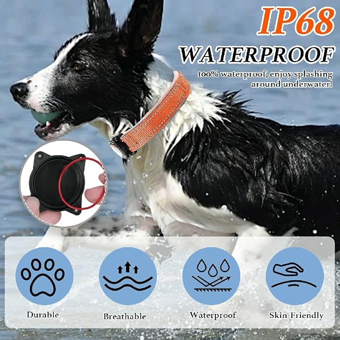 Upgrade Dog Collar with AirTag Holder, IP68 Waterproof, Orange, M | 1000D Nylon, Reflective Stitching for Night Visibility, Adjustable Soft Padded, Ultra-Durable, for Small Medium Large Dogs