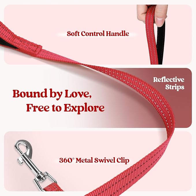 rabbitgoo Dog Harness Medium Sized and Leash Set, Step-in Puppy Pet Vest | Light, Soft, Breathable Air Mesh, Easy on and Remove with Hook & Loop, Secure Reflective for Walking, Red XL