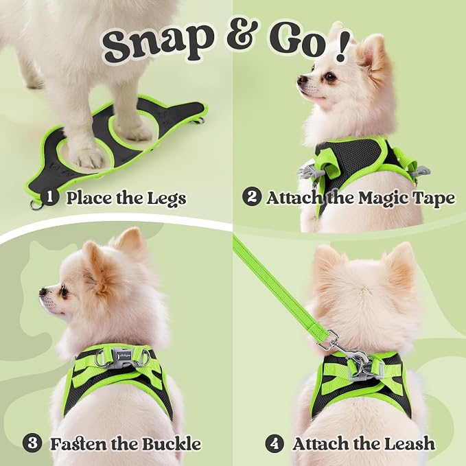 rabbitgoo Dog Harness Small Sized and Leash Set, Step in Soft Vest | Breathable Mesh, Easy Wear with Hook & Loop, Light and Reflective for Walking, Multi-colored, Black & Green, L