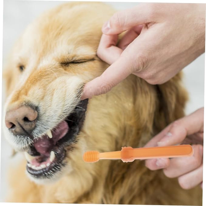 Healifty Silicone Cat and Small Dog Toothbrush Kit with Dual Head Design Portable Pet Dental Brush for Plaque Removal and Oral Health Care Suitable for Puppies and Cats