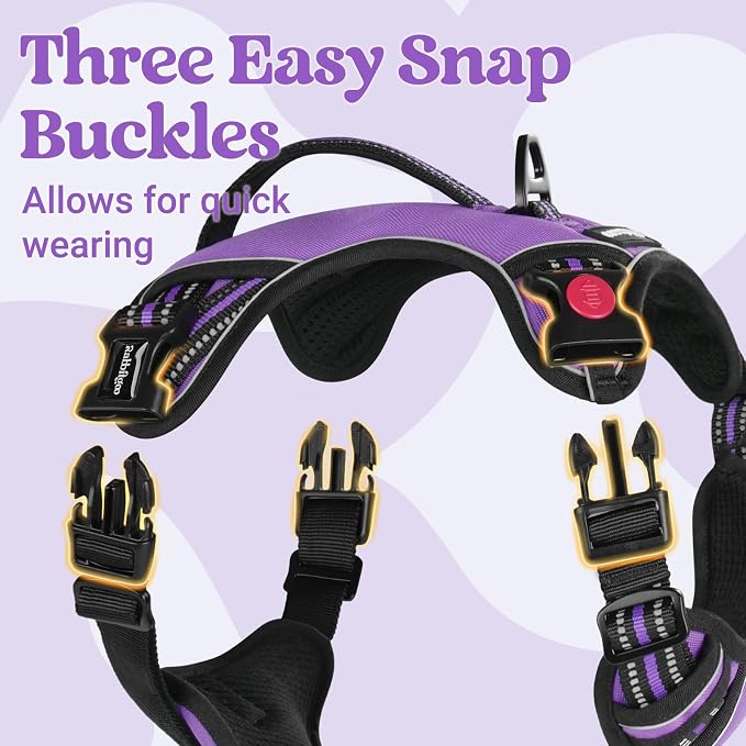 rabbitgoo Large Dog Harness, Easy Wear with 3 Buckles and Lift Handle | No Pull with Front Clip for Walking, Adjustable Soft Padded, Reflective, Easy Control, Purple, Medium