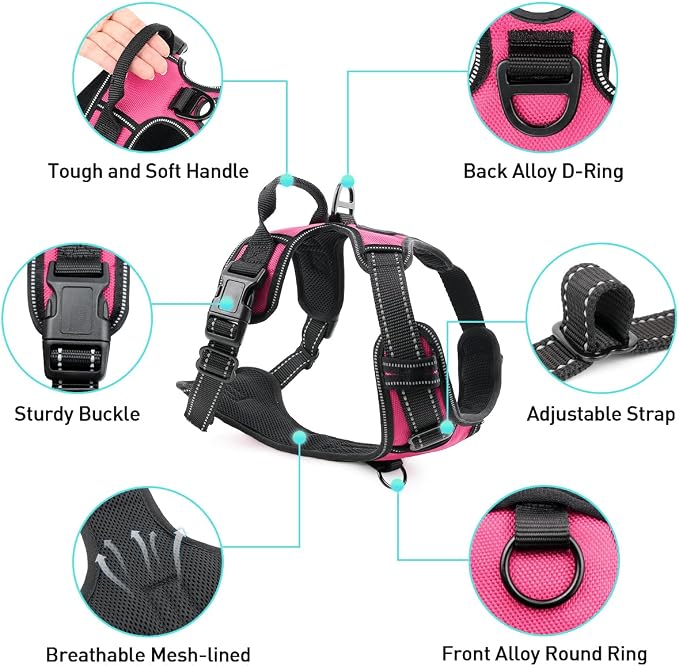 6FT Double Handle Dog Leash for Training and Dog Harness (Chest: 17-34"), Reflective Leashes for Medium Dogs and Adjustable Soft No Pull Harness (Hot Pink,L)