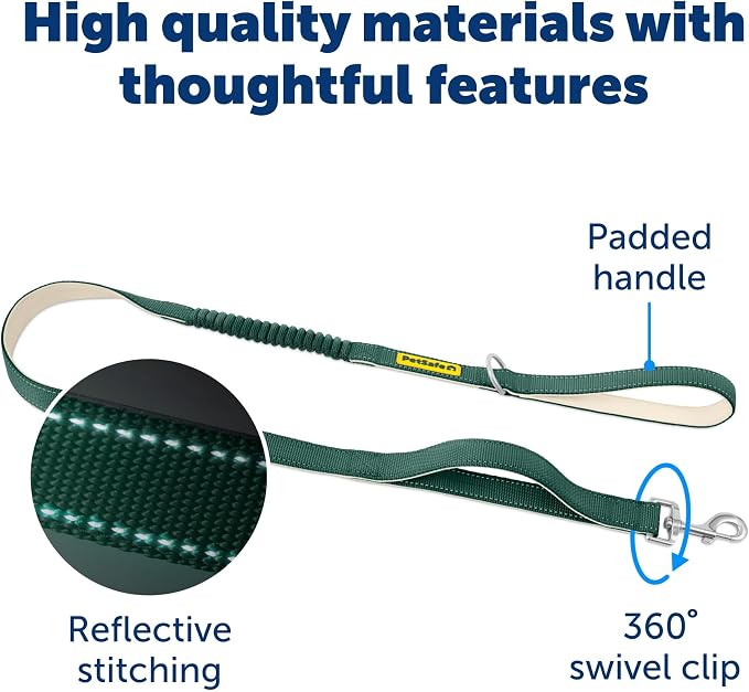 PetSafe Comfort 4 ft Bungee Dog Leash, Green | Shock-Absorbing Bungee Flexes on Pulls, Dual Handles for Control, Reflective Stitching, Built-in D-Ring for Off-Leash Storage