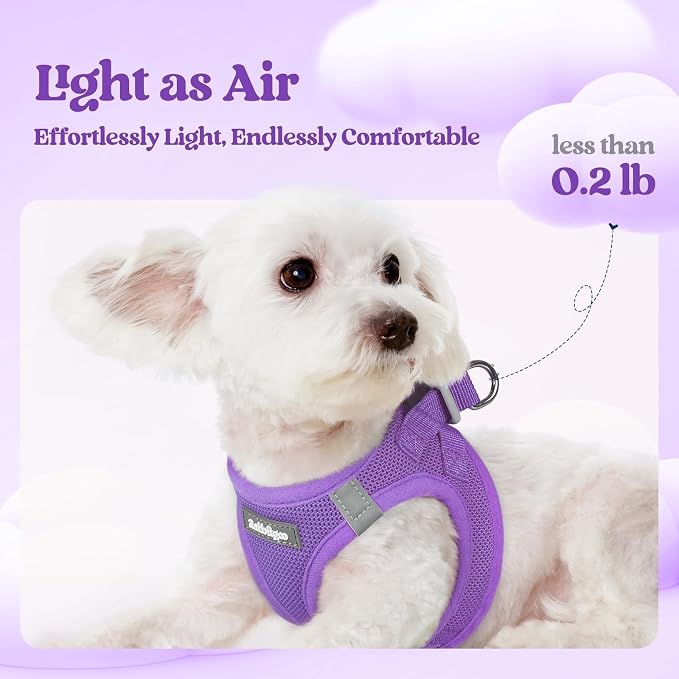 rabbitgoo Dog Harness Medium Sized and Leash Set, Step-in Puppy Pet Vest | Light, Soft, Breathable Air Mesh, Easy on and Remove with Hook & Loop, Secure Reflective for Walking, Purple L