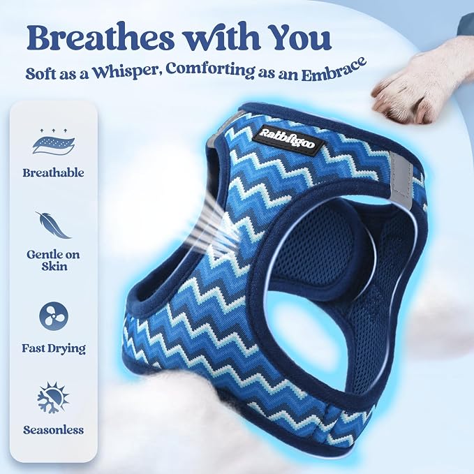 rabbitgoo Dog Harness Small Sized and Leash Set, Step-in Puppy Pet Vest | Light, Soft, Breathable Air Mesh, Easy on and Remove with Hook & Loop, Secure Reflective for Walking, Blue Zigzag XS