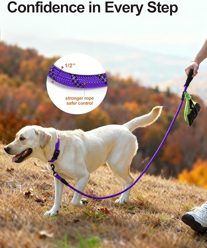 Joytale Rope Dog Leash for Medium Large Dogs, Padded Handle, 5FT, Purple | Reinforced Nylon Webbing, Comfort Grip Eases Hand Strain, Swivel Clip Prevents Tangles, Visible at Night, for Outdoor Walks