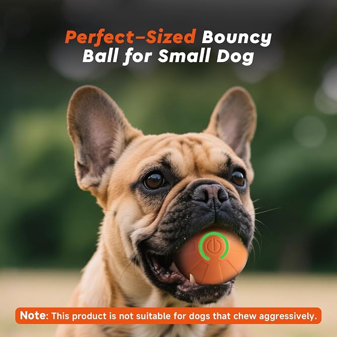 Interactive Small Dog Toy Ball, 2 Inch Smart Jumping Ball for Puppy/Small Dogs, Activated Automatic Bouncing Moving Vibrating, Dog Toy for Small Dogs to Keep Them Busy（Orange）