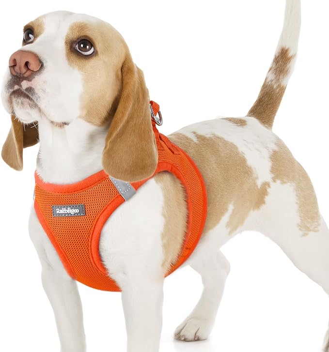 rabbitgoo Step-in Small Dog Harness, Puppy Vest for Small Sized Pet | Easy Put on and off, Lightweight, Soft, Breathable Quick-Dry Air Mesh for Comfortable Secure Walking, Orange M