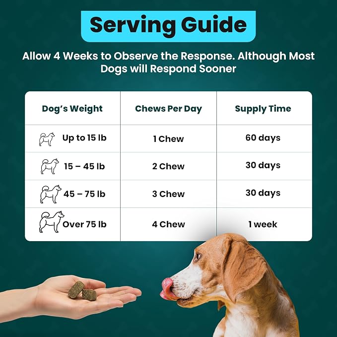 Glucosamine for Dogs Hip and Joint Supplement - Chondroitin, MSM, Green-Lipped Mussel - Clear Hip & Joint - Advanced Mobility Cartilage Support, Bone Health - Tasty Chews 60ct - Made in USA
