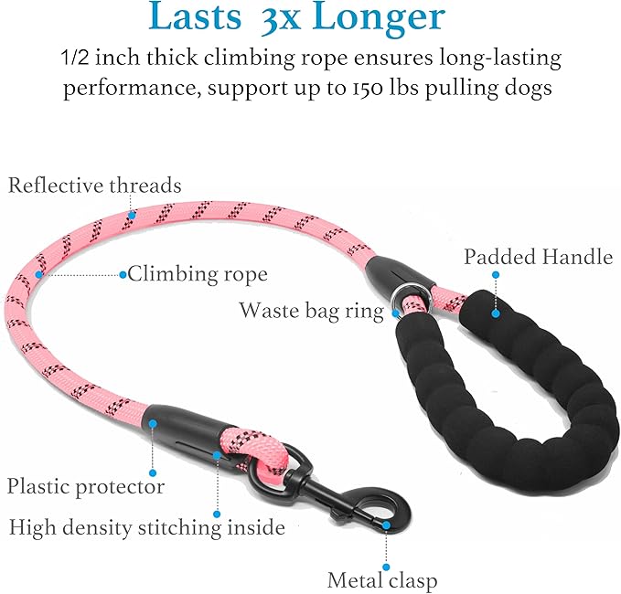 iYoShop Double Dog Leash, 360° Swivel, No Tangle, Large, Baby Pink | Dual Leash for Two Dogs, Split Leash, Shock-Absorbing Bungee, Padded Handle, Heavy-Duty Rope