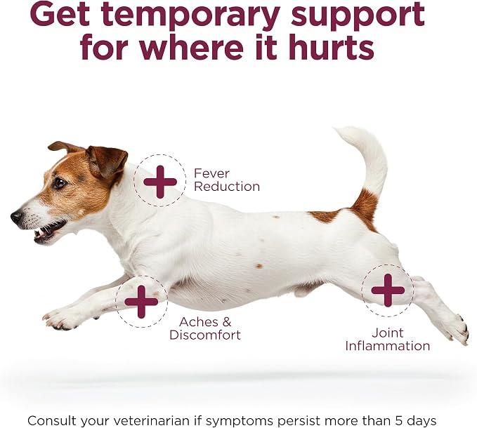 Vetality Canine Aspirin for Dogs | Fast Pain Relief | Small to Medium Dogs | Liver Flavor | 75 Chewable Tablets