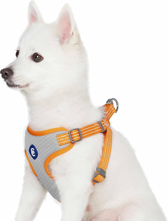 Blueberry Pet Essentials No Pull Dog Harness, Large, Apricot - Reflective Dog Harness Medium Sized Dog & Dog Harness for Large Dogs - Puppy Harness with Breathable Mesh, Eco-Friendly Buckle