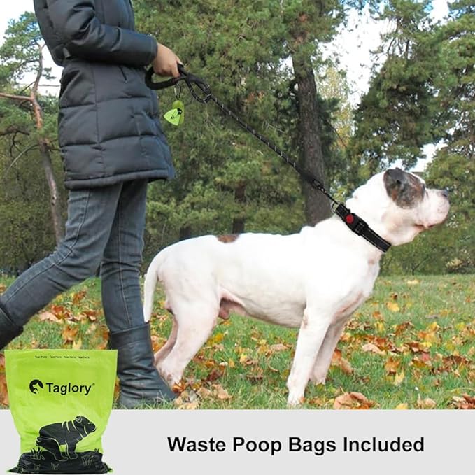 Taglory Rope Dog Leash for Medium Large Dogs, 5 FT Padded Handle, Black | Climbing Rope for Strong Pullers, Reflective for Night Walks and Training, Comfortable Grip, Anti-tangle Swivel Clip 1/2 inch