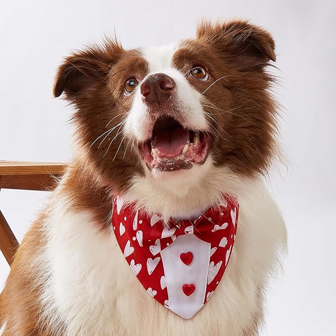 Valentine Dog Tuxedo Bandana with Bow Tie, Medium, XS
