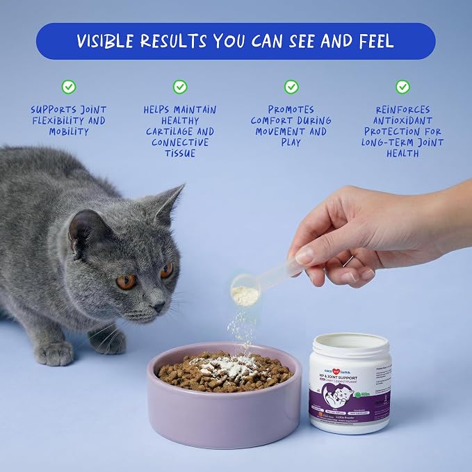 Hip & Joint Powder for Cats - Glucosamine, MSM & Green Lipped Mussel