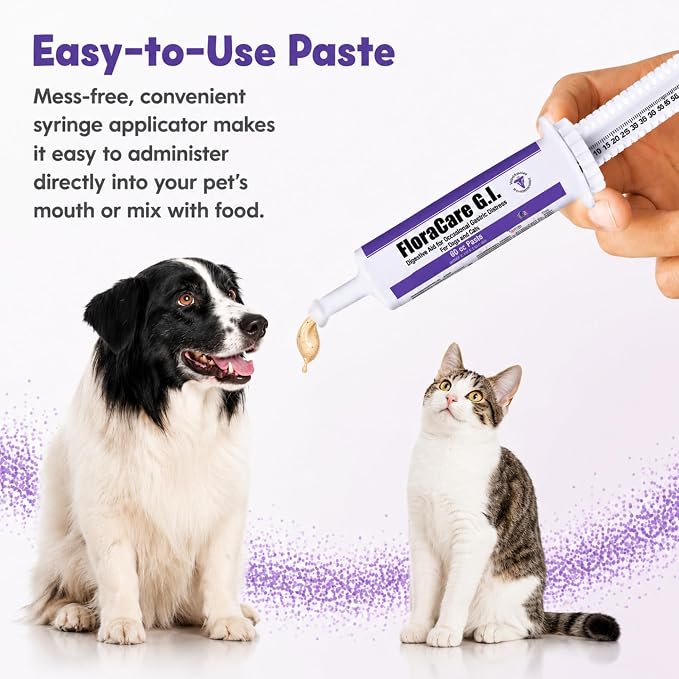 FloraCare GI Digestive Paste for Dogs & Cats – Helps Diarrhea, Upset Stomach & Occasional Gastric Distress – Gut Health Support with Easy Oral Syringe – Veterinarian Recommended Digestive Aid – 60cc