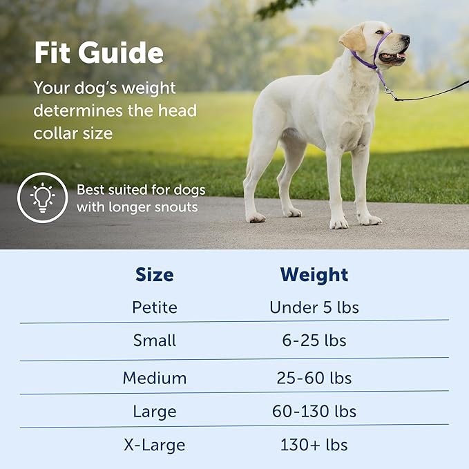 PetSafe Gentle Leader No-Pull Dog Headcollar - The Ultimate Solution to Pulling - Redirects Your Dog's Pulling for Easier Walks - Helps You Regain Control - Large, Charcoal (Pack of 6)