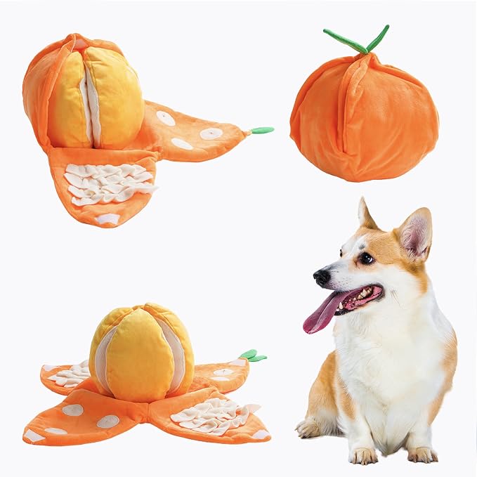 Nocciola Hide and Seek Plush Dog Toys, Orange Tangerine Interactive Dog Toy for Small Dogs, Puppy Squeaky Toy with Crinkle Papers, Puzzle Toy for Boredom, Nosework Pet Toy for Small Medium Dogs
