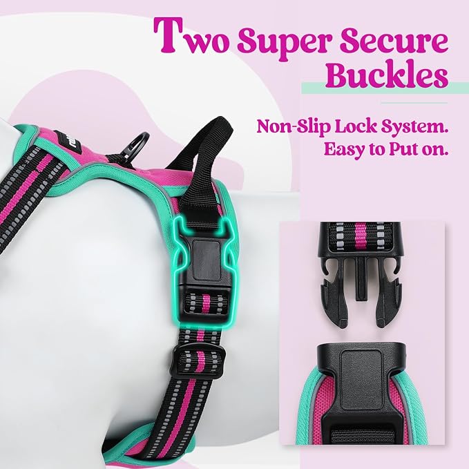 rabbitgoo Dog Harness, No Pull for Large Dogs with 2 Leash Clips, Pet Vest | No Choke with Handle, Adjustable Soft Padded, Reflective, Easy Control for Walking, Hot Pink & Turquoise, Large
