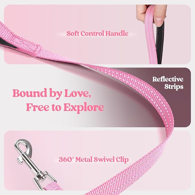 rabbitgoo Dog Harness Small Sized and Leash Set, Step-in Puppy Pet Vest | Light, Soft, Breathable Air Mesh, Easy on and Remove with Hook & Loop, Secure Reflective for Walking, Light Pink S