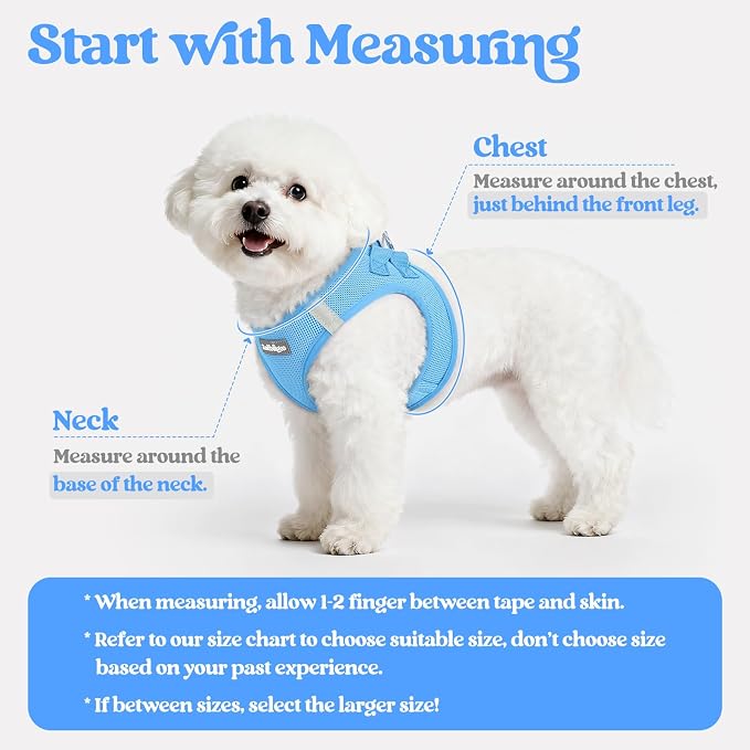 rabbitgoo Dog Harness Small Sized and Leash Set, Step-in Puppy Pet Vest | Light, Soft, Breathable Air Mesh, Easy on and Remove with Hook & Loop, Secure Reflective for Walking, Blue XS