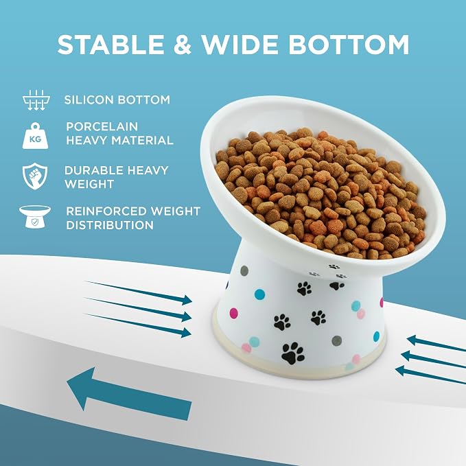 Necoichi Raised Cat Food Bowl – Ceramic Elevated 15° Tilted Cat Bowl for Whisker & Neck Fatigue, Dishwasher Microwave Safe – Non-Slip & Anti Vomiting Ergonomic Design (Colorful Dots, Regular Tilted)