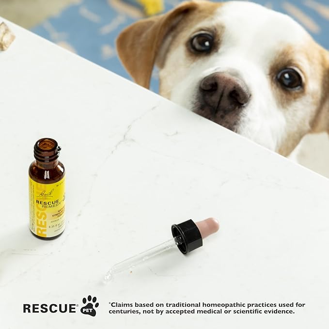 Bach Rescue Remedy Pet Dropper - 20mL, Pack of 2 - Stress & Tension Support for Dogs & Cats Natural Flower Essences - Sedative-Free, Homeopathic Liquid Formula - for All Breeds, Ages & Weights