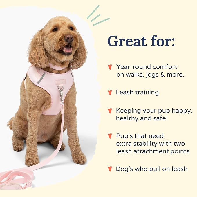 Lucy & Co. The Rosewater No-Pull Dog Harness - Size Medium - Vest to Stop Pulling & Walk Easy - Comfortable Leash Training Product w/Adjustable Chest & Neck Straps