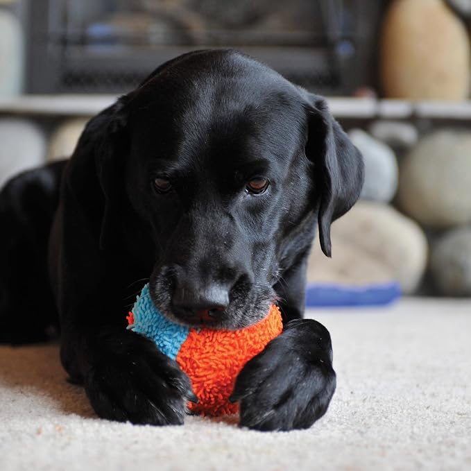 Chuckit! Indoor Fetch Shaker Dog Toy, 7.75in, Orange and Blue | Interactive Shaker Toy Designed to Fight Boredom Indoors, Keeping Dogs Busy and Entertained During Playtime