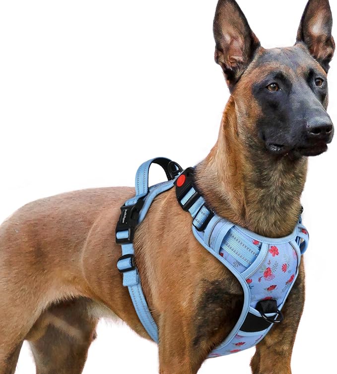 rabbitgoo Dog Harness for Large, Updated Easy On & Off with 3 Buckles | No Pull No Choke, Walking with 2 Clips and Handle, Adjustable Soft Reflective, Floral Blue, X-large