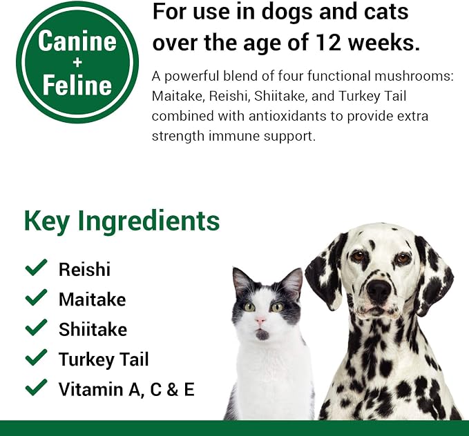 Vet Classics CAS Options Immune Support Supplement for Dogs- 120 Soft Chews