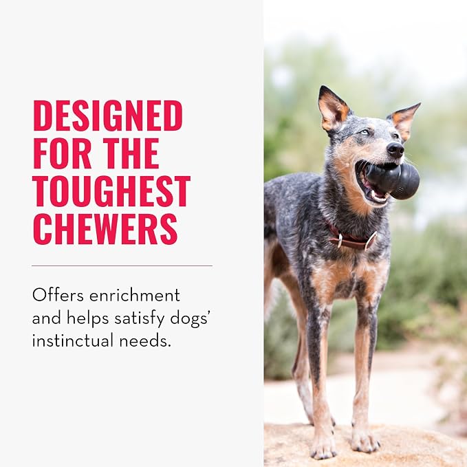 KONG Extreme Dog Toy, Natural Rubber Chew, for Small Dogs (Pack of 2) | Treat-Filling Chew & Fetch Toy with Erratic Bounce, Made from KONG's Most Durable Natural Rubber for Power Chewers
