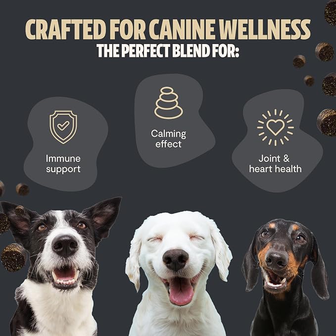 FreshCap Mushrooms Shroomies - 13 in 1 Turkey Tail Mushroom for Dogs, Super Blend Mushroom Supplement for Dogs, Dog Immune Support, Calming Treats (180 Soft Chews) (Pack of 2)