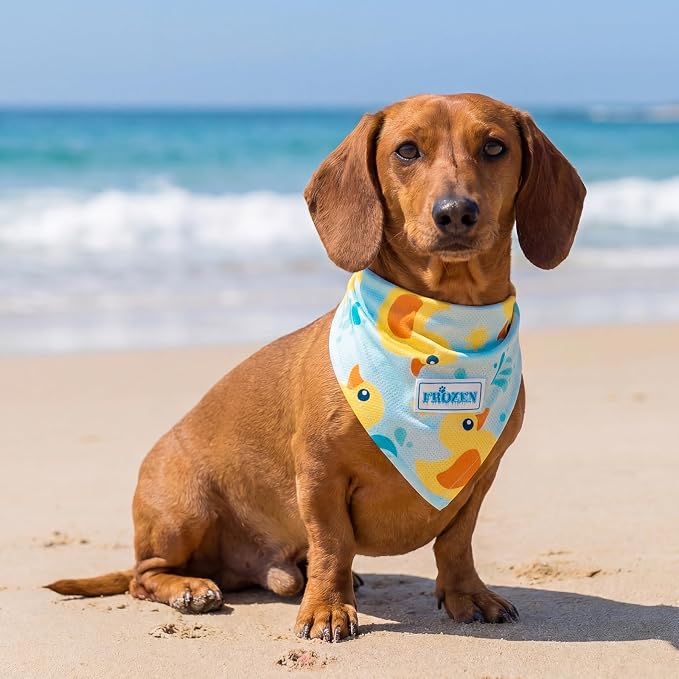 KYEESE 2Pack Dog Cooling Bandana, 20 inches, 2-Pack, Small, Blue