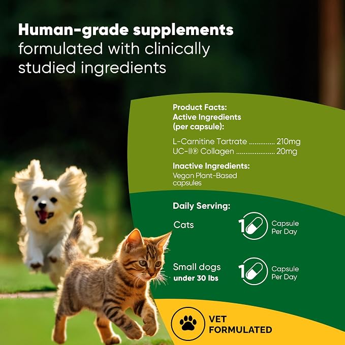 Joint & Muscle Supplement for Cats & Small Dogs - 30 Caps