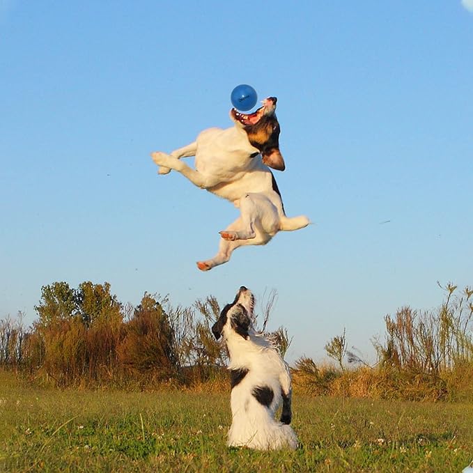 Dog Balls Indestructible, Solid Rubber Bouncy, Large Breed