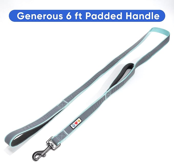 Pawtitas Double Handle Dog Leash Heavy Duty for Training No Pull Leashes Ideal for Medium and Large Dogs | Great for Walking, Running & Training Dog Leash - Medium/Large - Teal