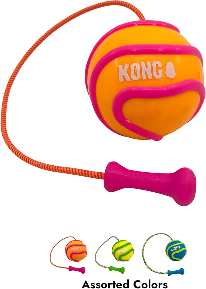 KONG Bunji High-Viz Brightly Colored Glow in The Dark High Visibility Fetch and Retrieve Durable Bouncy Ball Assorted (Large)