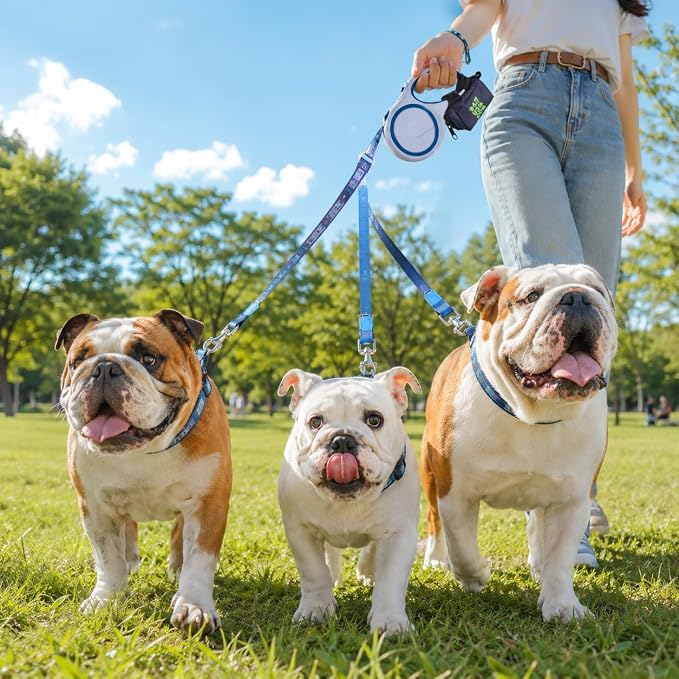 Dog Poop Bag Holder For Leash, Doggy Poop Bag Dispenser With Velcro Attachment, Suitable For Any Retractable Leash, Reusable Dispenser For Travel, Walking, Park, And Outdoor Use (Blue)