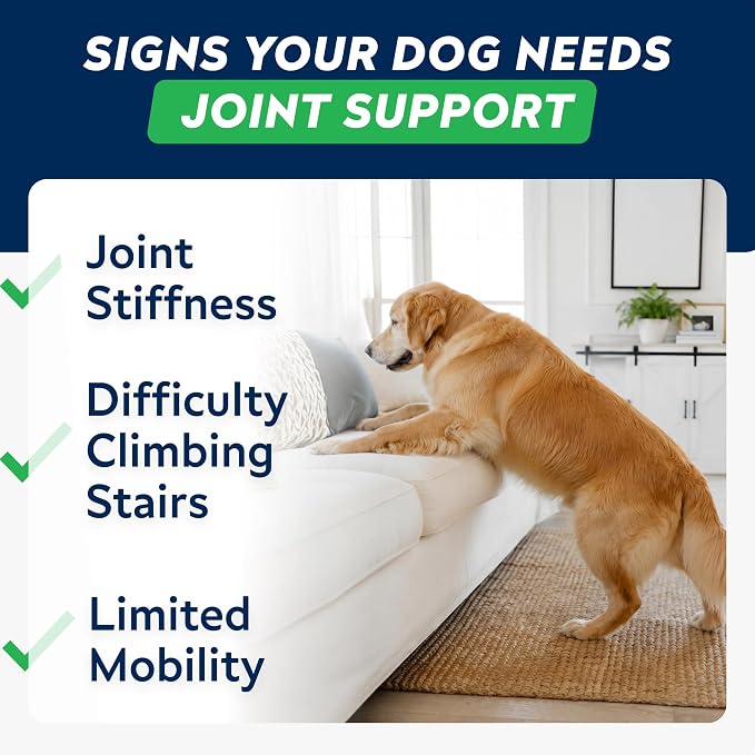 Advanced Hip Joint Supplement for Dogs, Chondroitin & MSM Hip Joint Chews