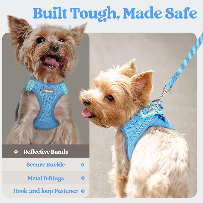 rabbitgoo Dog Harness Small Sized and Leash Set, Step-in Puppy Pet Vest | Light, Soft, Breathable Air Mesh, Easy on and Remove with Hook & Loop, Secure Reflective for Walking, Blue XS
