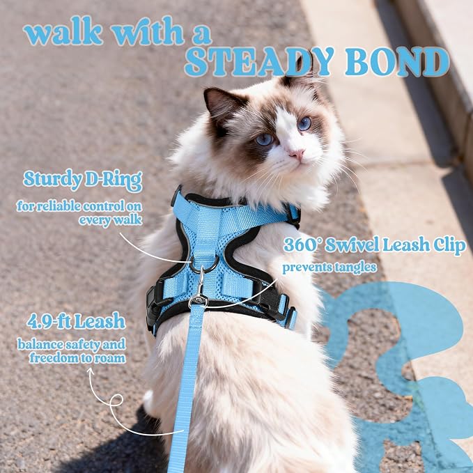 rabbitgoo Cat Harness and Leash Set, Escape Proof Vest, Light Blue | Soft Breathable Mesh, Easy Adjustable Fit, Snap Buckles, Sturdy Clip, Reflective Strips, for Average Cats Walks, S