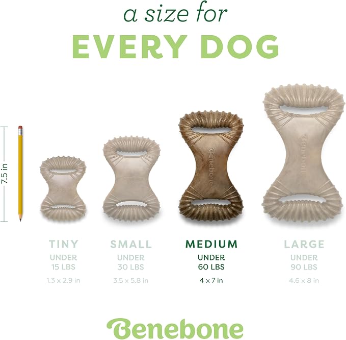 Benebone Dental Durable Dog Chew Toy for Aggressive Chewers, Real Peanut, Made in USA, Medium