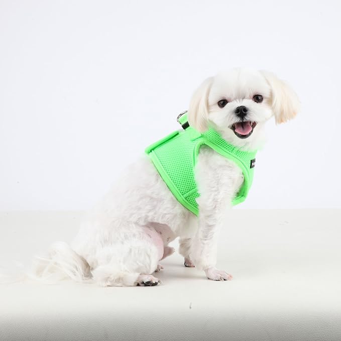 Puppia Neon Soft Vest Harness Step-in No Choke No Pull Walking Training for Small and Medium Dog, Pink, Large