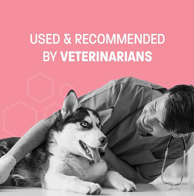 Probiotic Oral Paste for Dogs & Cats - Support Healthy Digestion Probiotic Gel - Anti Diarrhea for Dogs and Cat Probiotics for Diarrhea - for Traveling, Kenneling and Training - 30 cc