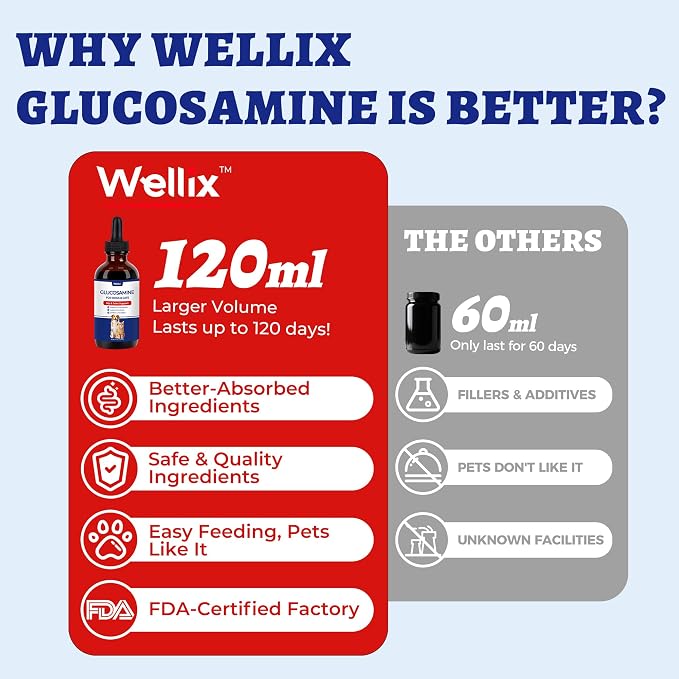 Wellix 4 oz Joint Supplement Drops for Dogs & Cats - Mild Turmeric Formula