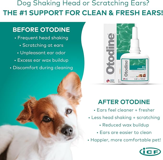 ICF Otodine Dog Ear Cleaner Solution Drops, 100ml