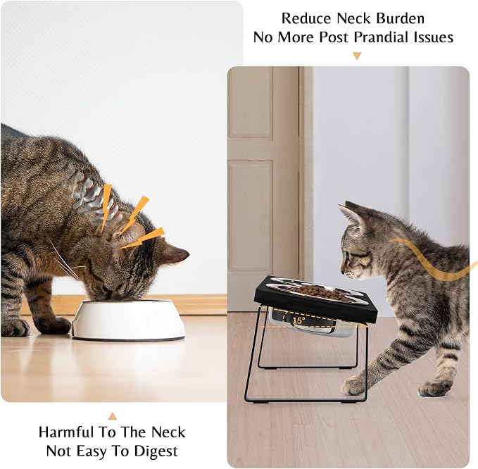 Elevated Cat Bowls for Food and Water - Loplurea 15° Tilted Raised Stainless Steel Cat Food Bowl with Black Bamboo Stand and Anti Vomit Feeding Station for Indoor Kittens and Pet
