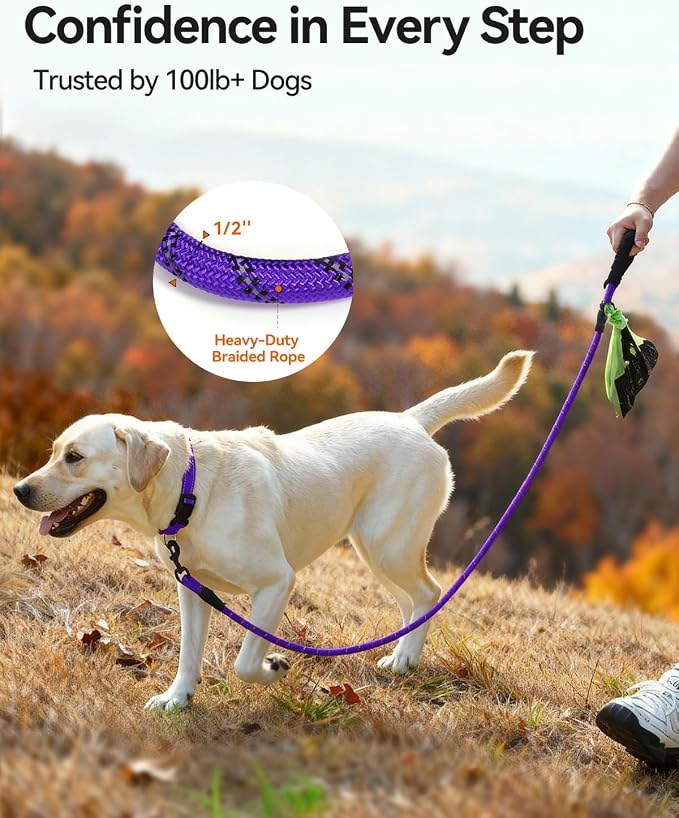 Joytale Rope Dog Leash for Medium Large Dogs, Padded Handle, 6FT, Purple | Reinforced Nylon Webbing, Comfort Grip Eases Hand Strain, Swivel Clip Prevents Tangles, Visible at Night, for Outdoor Walks