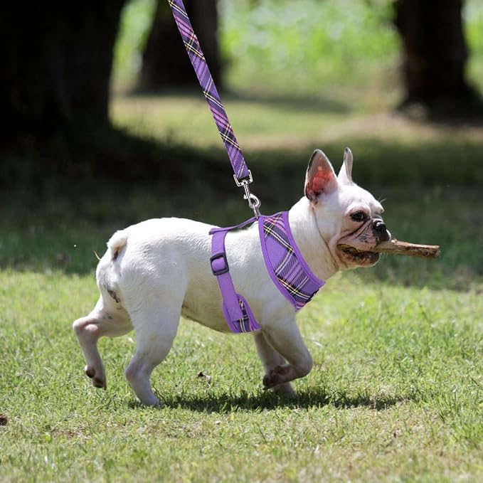 PUPTECK Soft Mesh Dog Harness and Leash Set Pet Puppy Cat Comfort Padded Vest No Pull Harnesses, Purple, S
